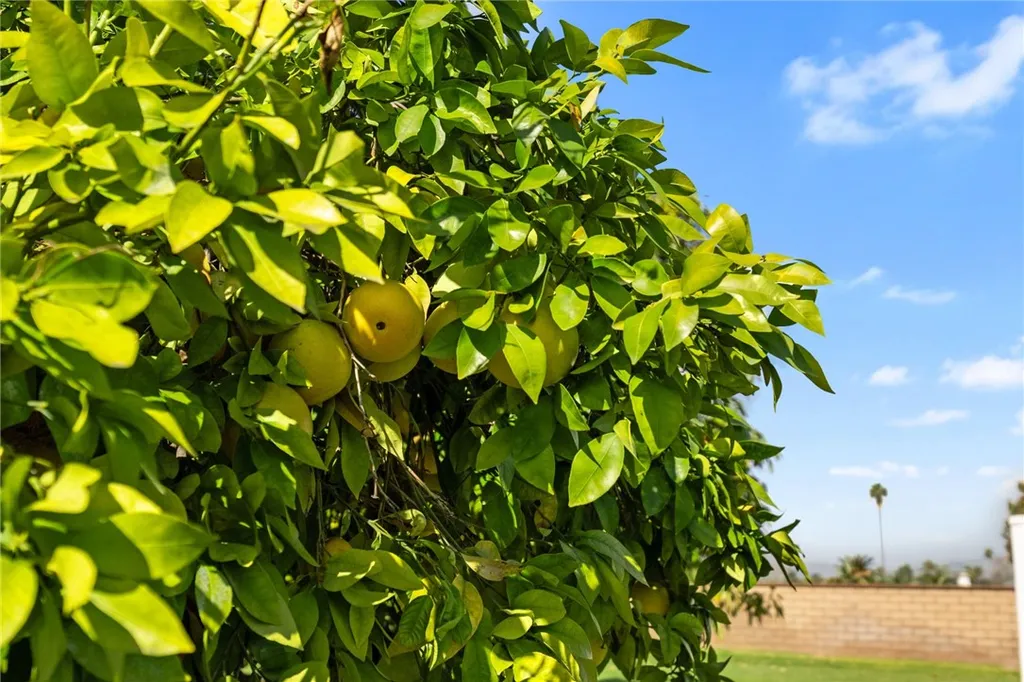 Additional image 38 of 2429 Chauncy Place, Riverside, CA 92506