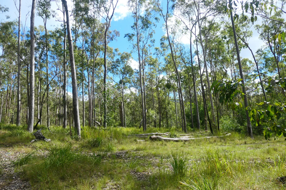 Additional image 14 of Lot 5 Long Gully Road, Drake NSW 2469