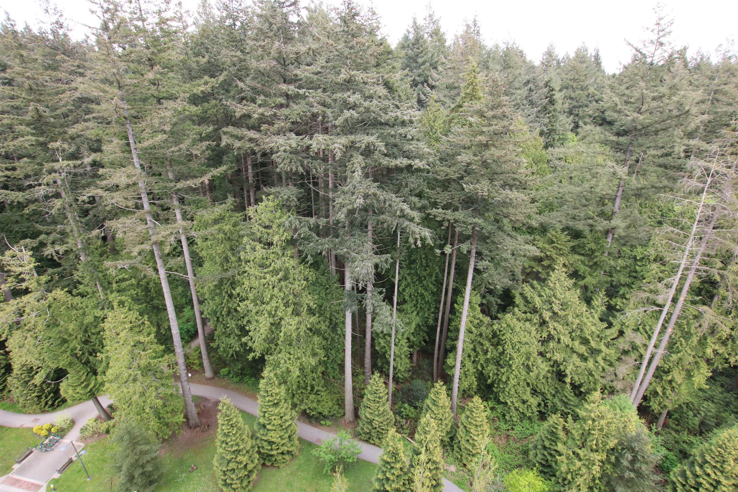 Additional image 2 of 1005-3487 Binning Road, Vancouver, BC, V6S 0K8