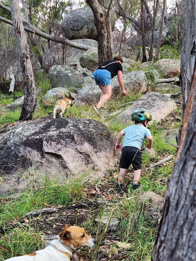 Additional image 7 of Lot 1 Brusharbers Road, Tenterfield NSW 2372