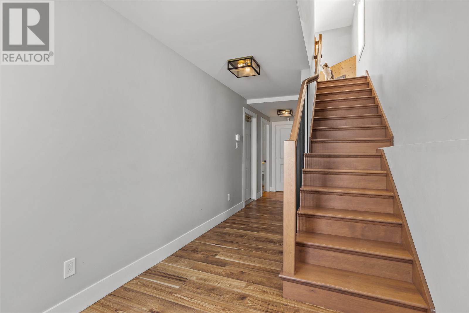 Additional image 3 of 51 Tigress Street, St Johns, NL, A1B0L6