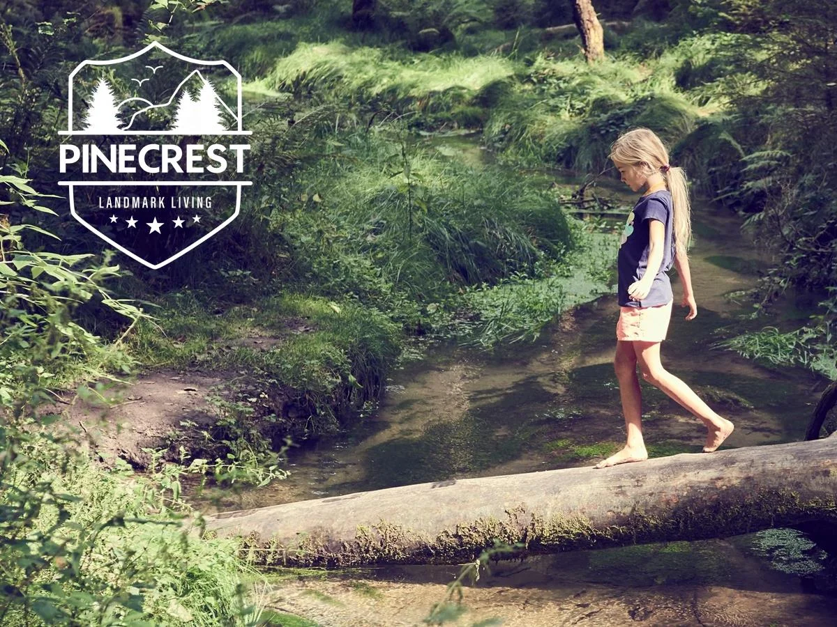 Additional image 7 of Lot 344 Timber Trail, Mount Peter QLD 4869