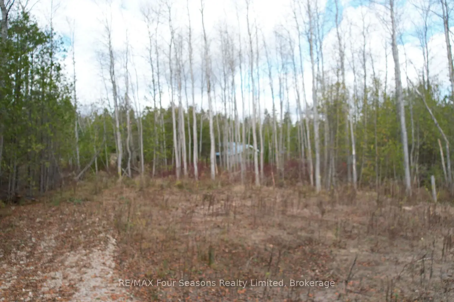 Additional image 9 of Lt69-70 Isabella Street