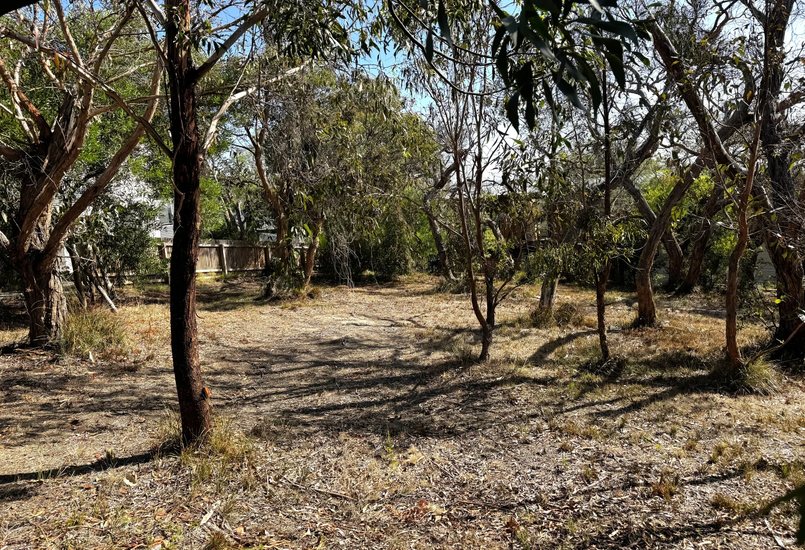 Additional image 5 of 47 Parker Street, Anglesea VIC 3230