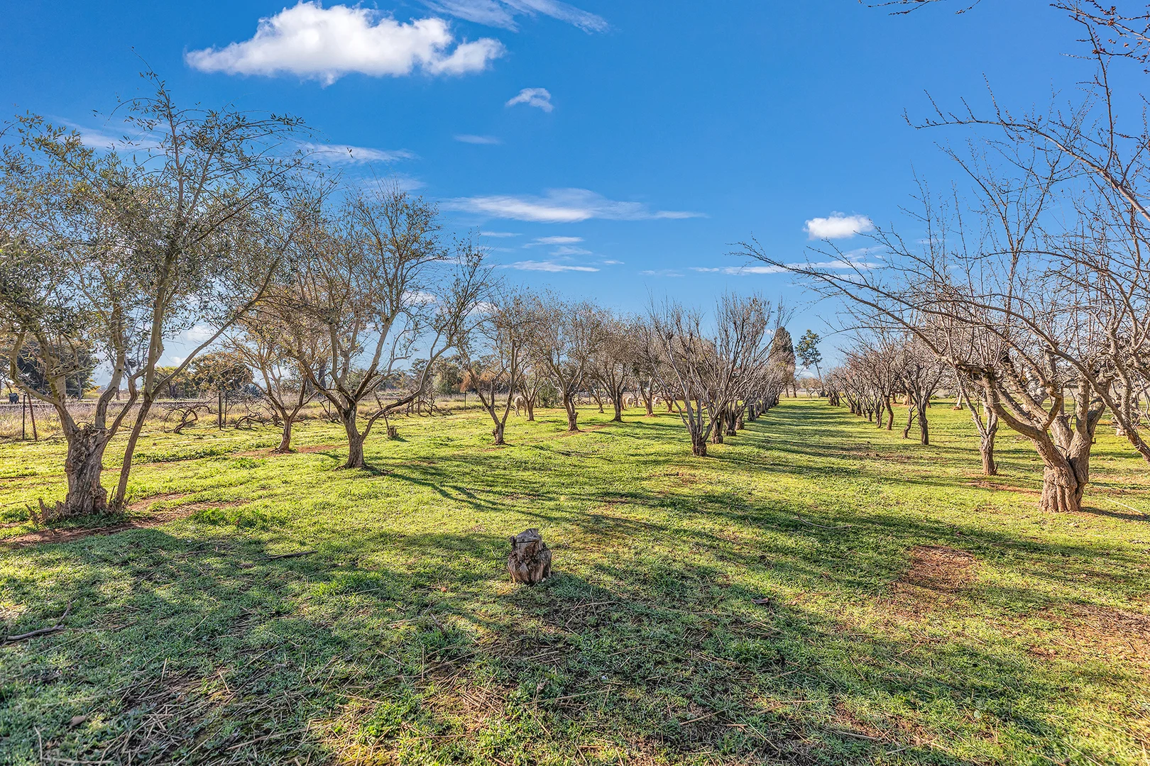 Additional image 23 of 45 Palmer Road, Kyvalley VIC 3621