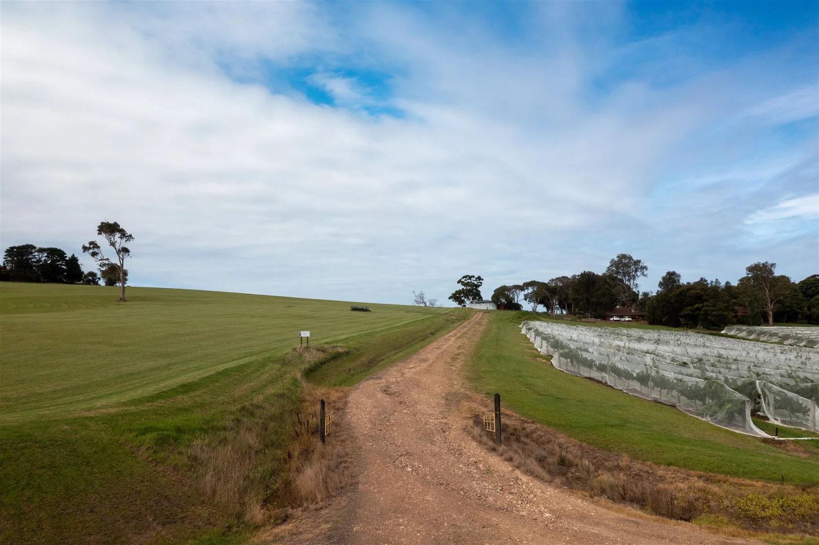 Additional image 26 of 1335 Bolong Road, Coolangatta NSW 2535