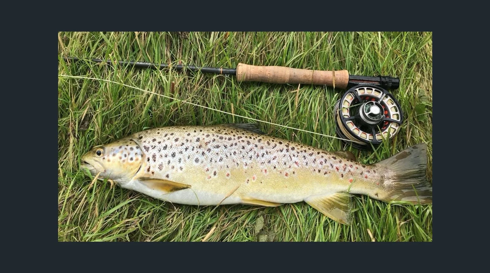 Additional image 5 of 12 Bronte Estate Road, Bronte Park TAS 7140