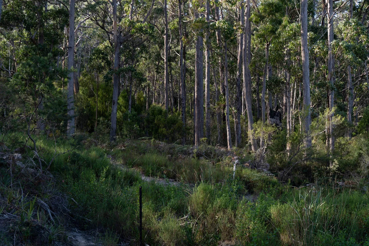 Additional image 9 of Lot 3 White Beach Road, White Beach TAS 7184