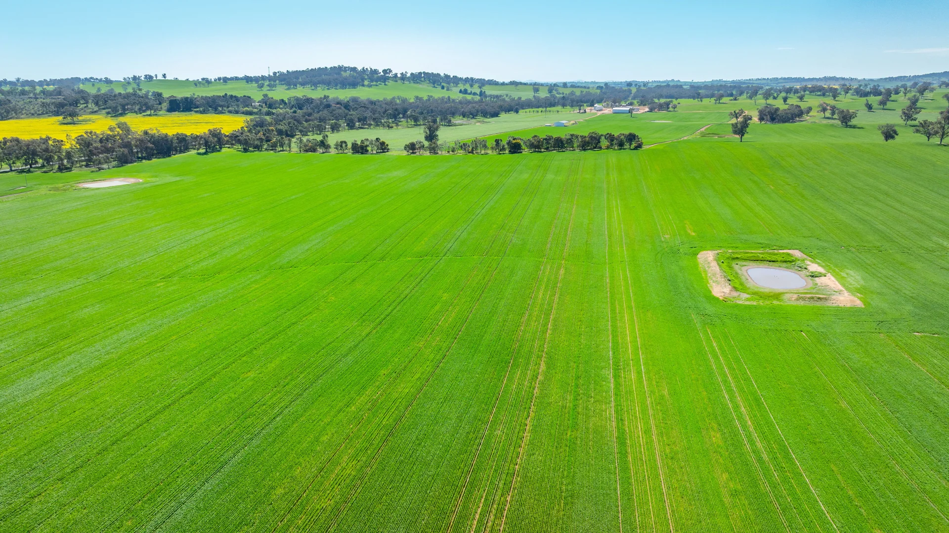 Additional image 3 of 1726 Howlong Burrumbuttock Road, Burrumbuttock NSW 2642