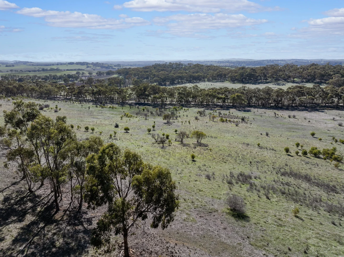 Additional image 14 of Lot 102 Benbournie Road, Armagh SA 5453
