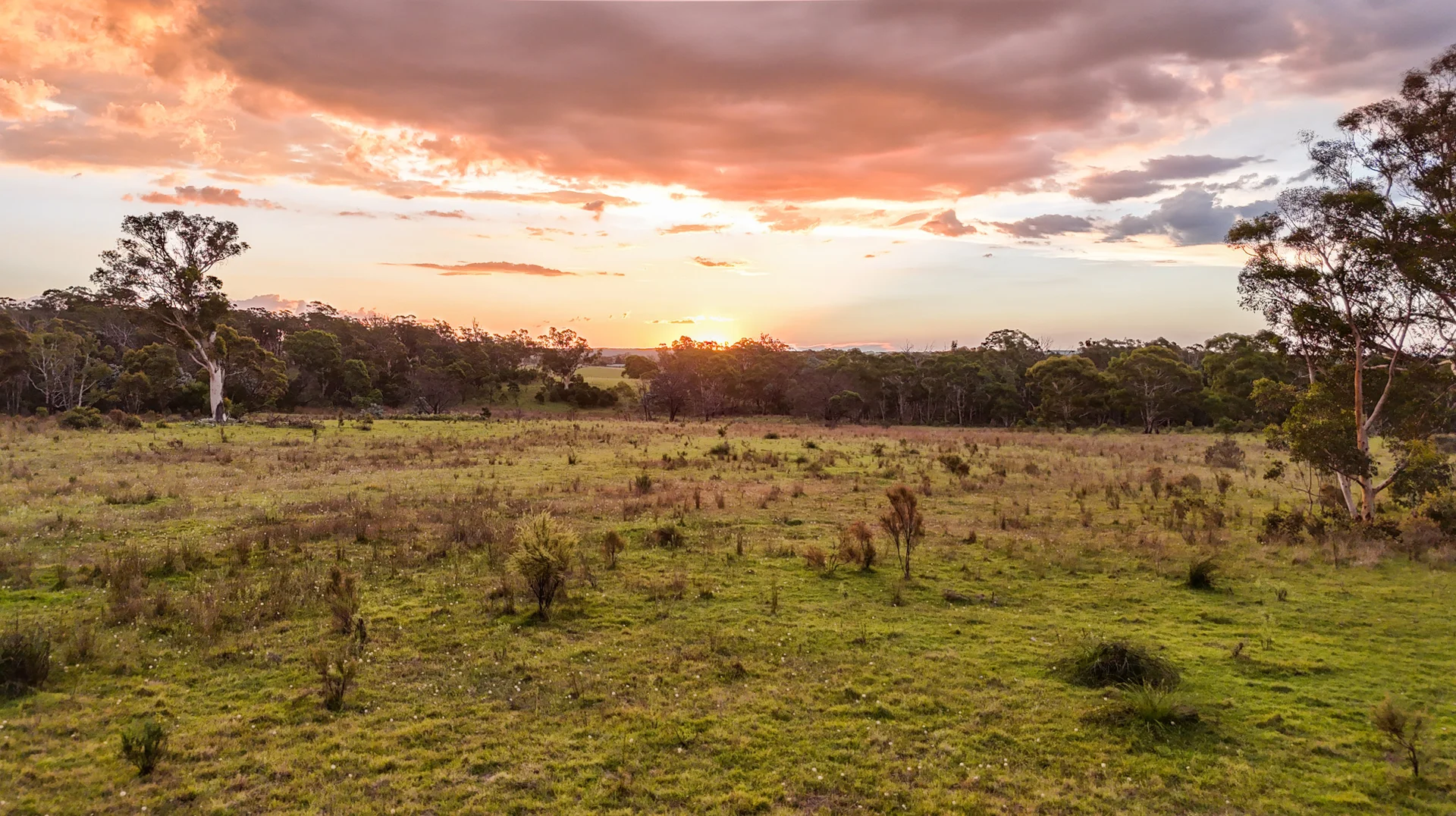 Additional image 4 of 272 Inverary Road, Paddys River NSW 2577