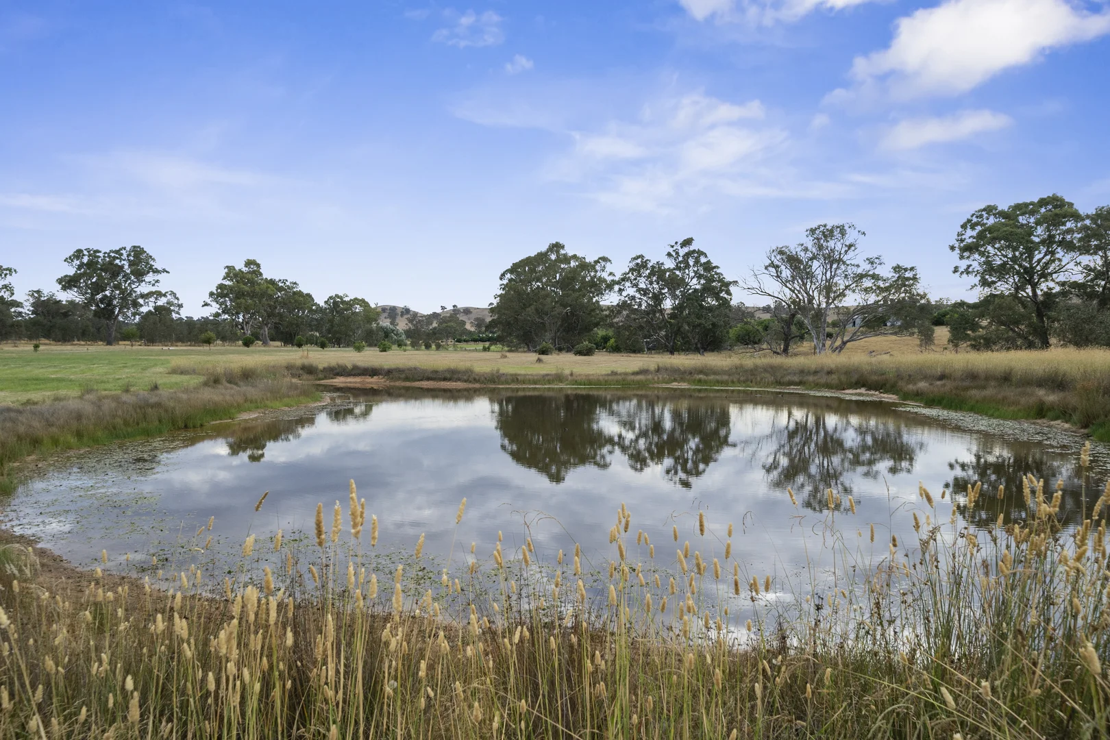 Additional image 12 of 31 High Vista Court, Mansfield VIC 3722
