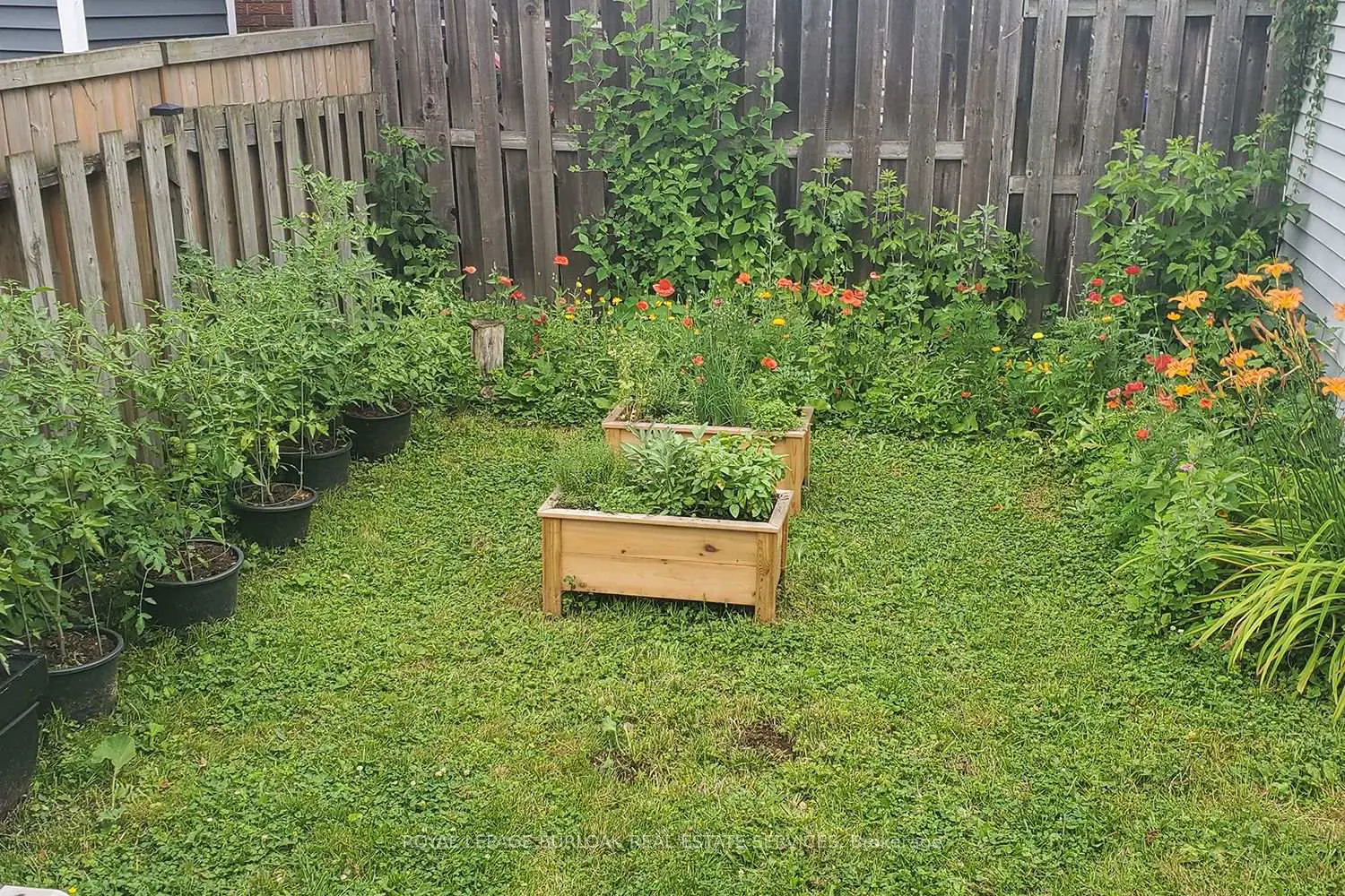 Additional image 18 of 173 London Street