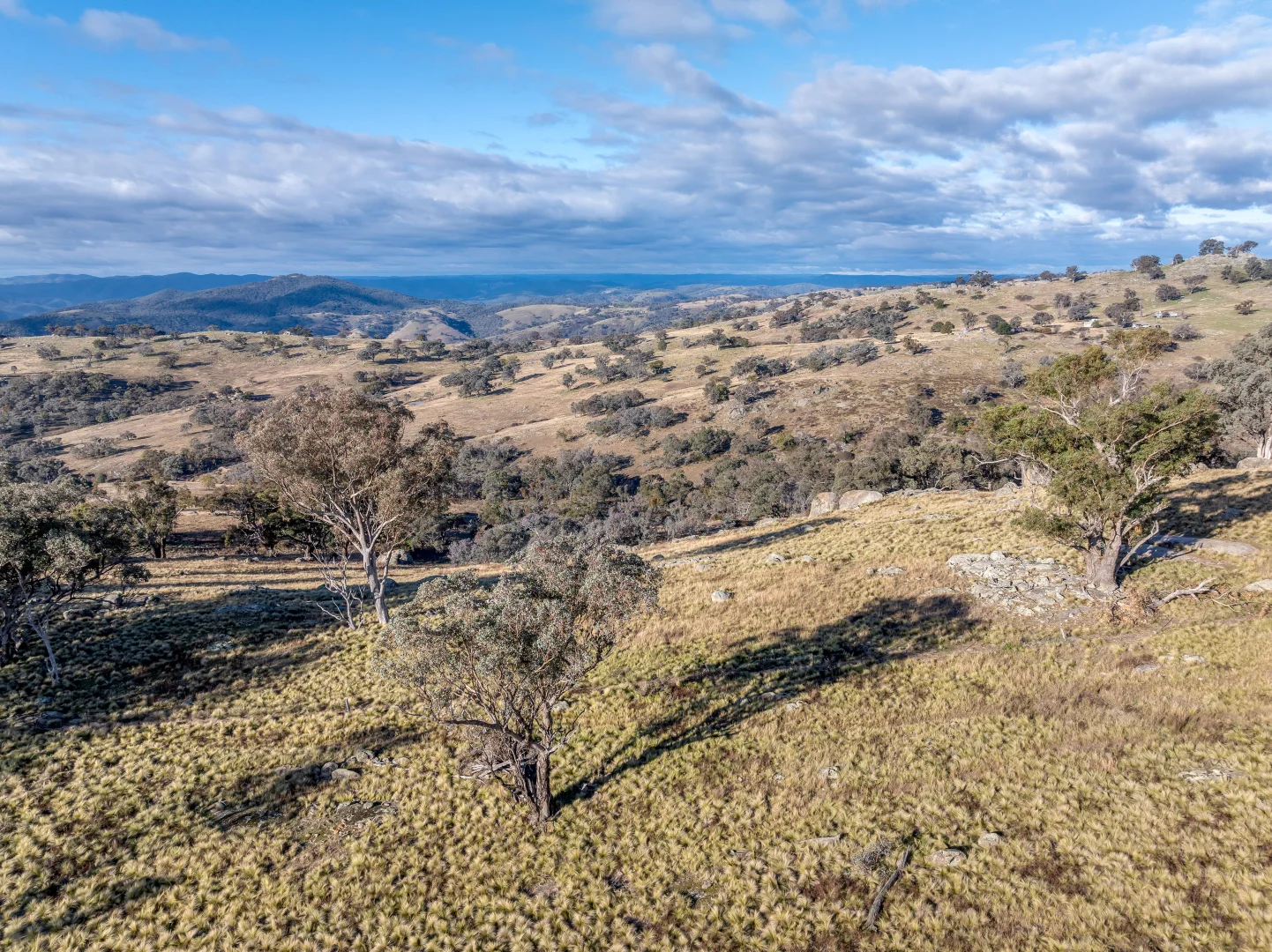 Additional image 13 of 498 Decca Road, Bigga NSW 2583