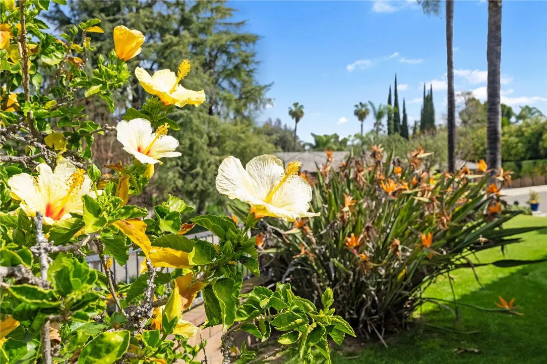 Additional image 103 of 2429 Chauncy Place, Riverside, CA 92506