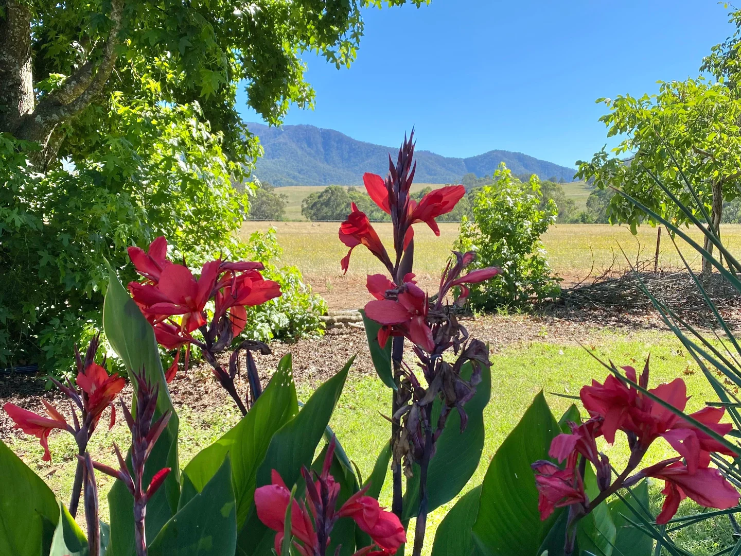 Additional image 15 of Mount Beauty VIC 3699