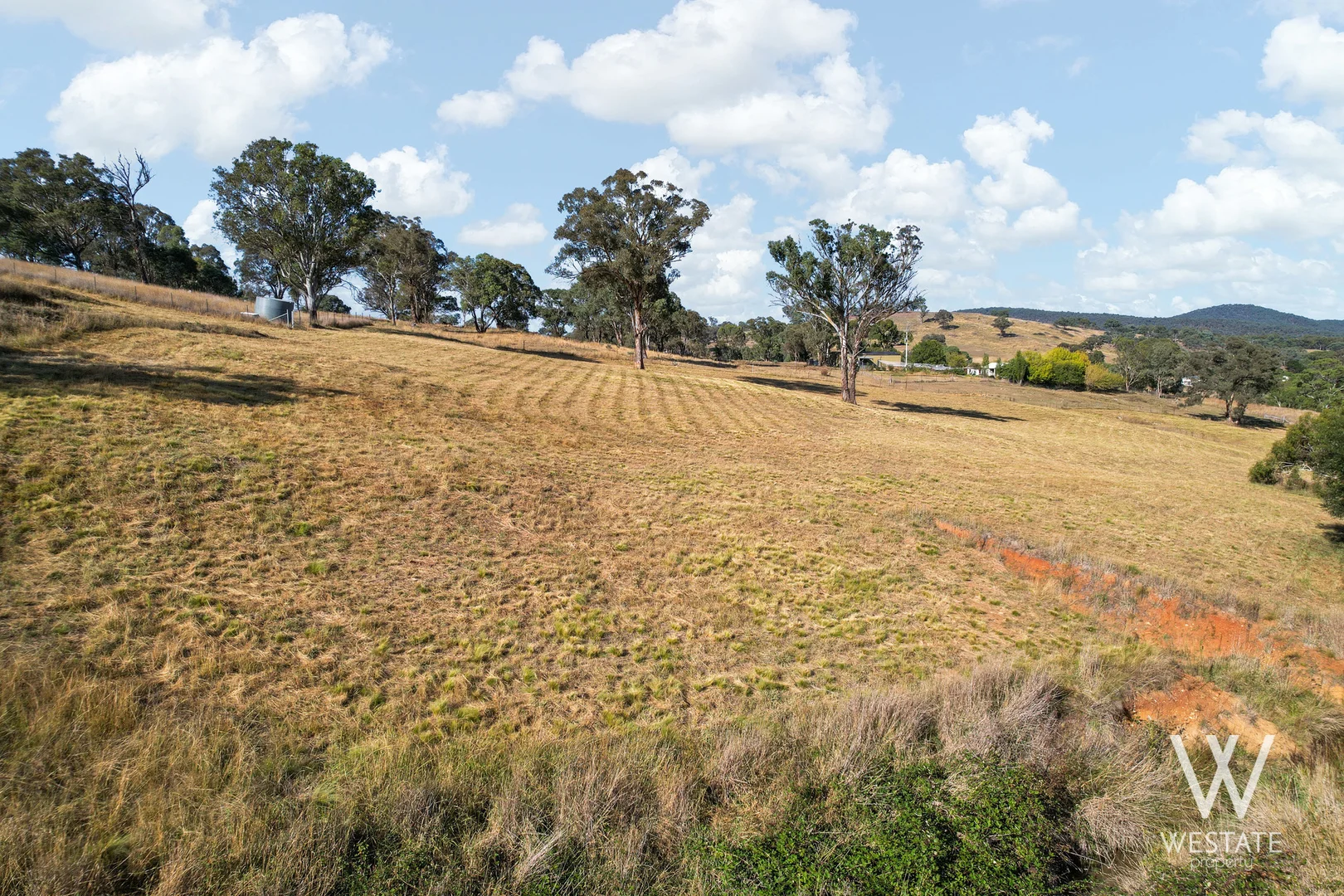 Additional image 19 of 2879 Beaconsfield Road, Wisemans Creek NSW 2795