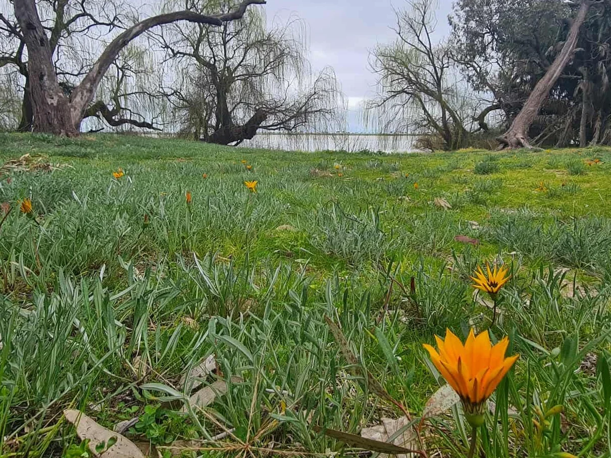 Additional image 6 of 380 Gorton Drive, Mystic Park VIC 3579