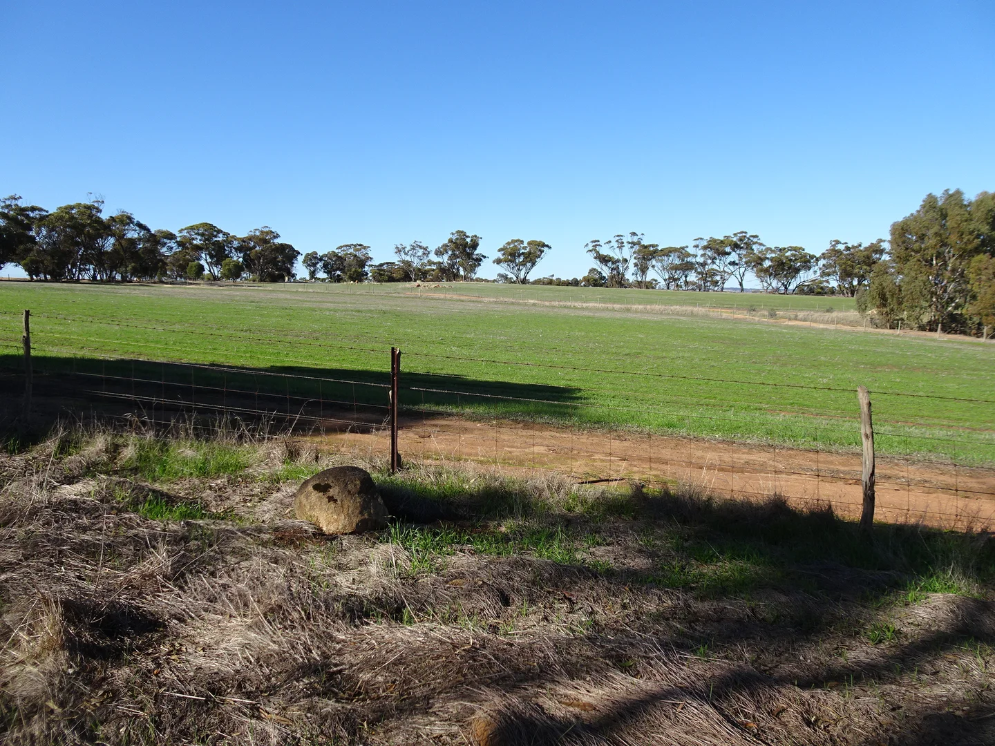 Additional image 20 of Shaddick Road, East Pingelly WA 6308