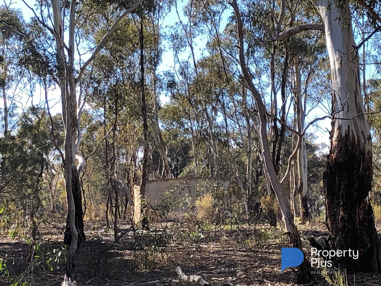 Additional image 11 of 1 Bendigo-Maryborough Road, Shelbourne VIC 3515