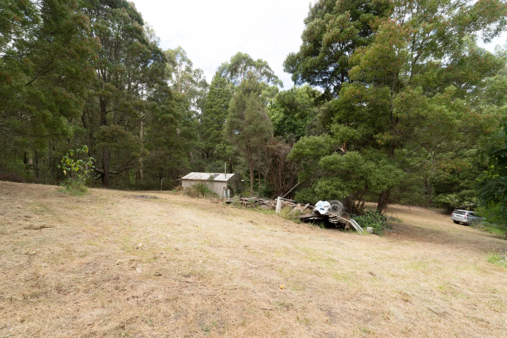 Additional image 6 of 189 Gellibrand River Road, Gellibrand Lower VIC 3237