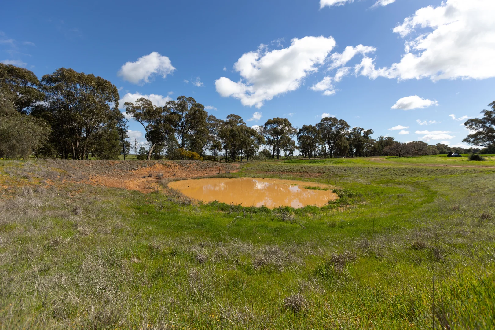 Additional image 10 of 532 Cottee Road, Currawarna NSW 2650