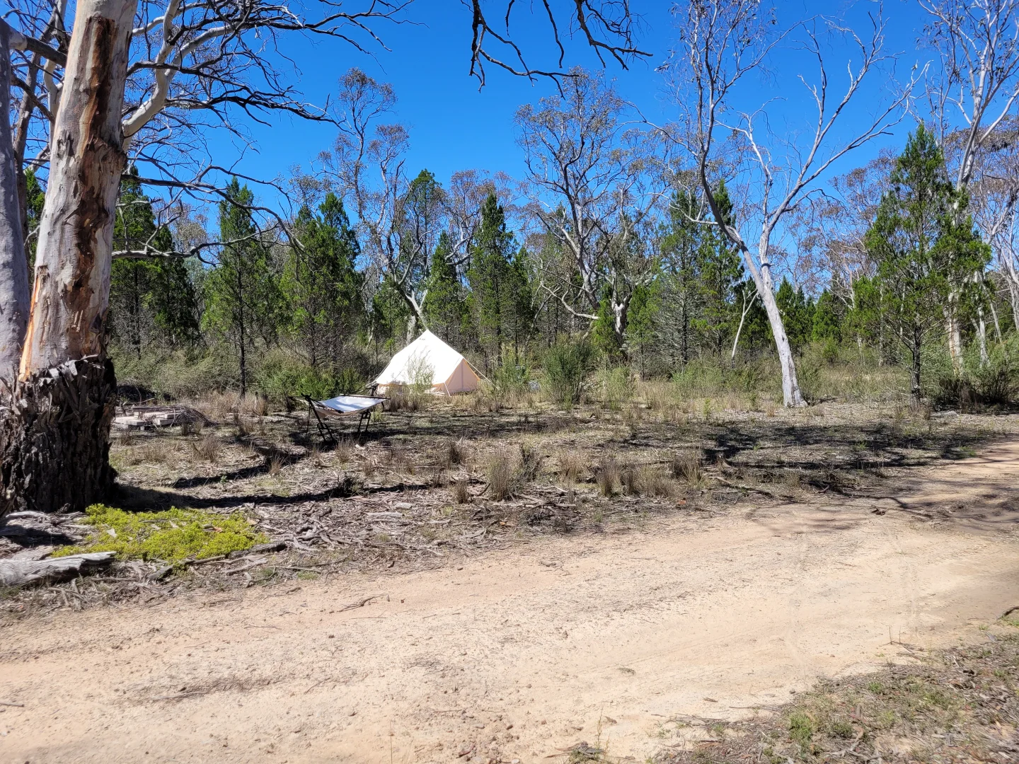 Additional image 7 of Lot 34 Palarang Road, Merriangaah NSW 2632