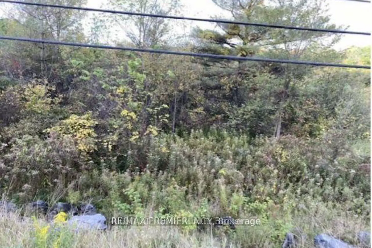 Additional image 7 of Pt Con 5 Pt Lot 5 Road