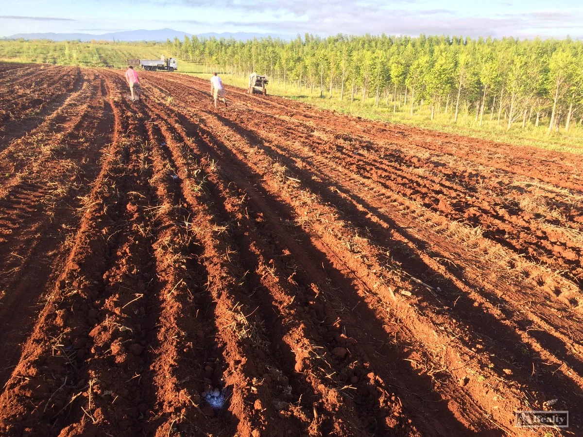 Additional image 13 of L15 Broccardo Road, Garradunga QLD 4860