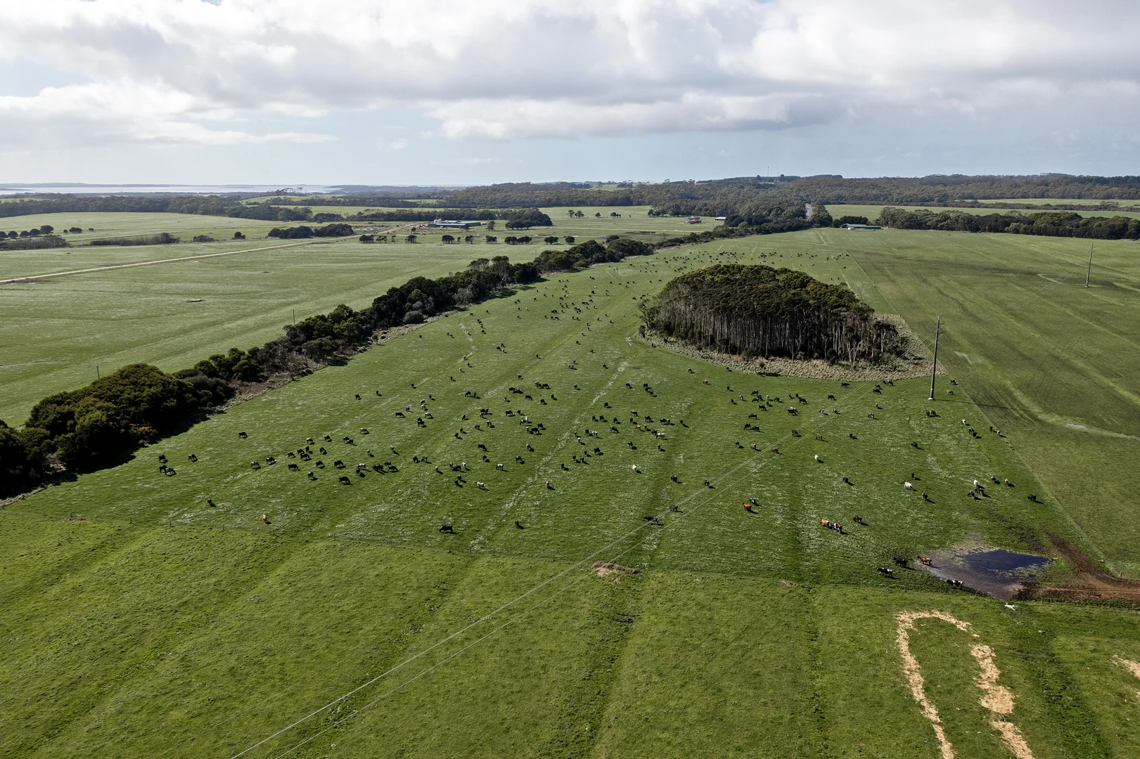 Additional image 6 of 301 Woolnorth Road, Woolnorth TAS 7330