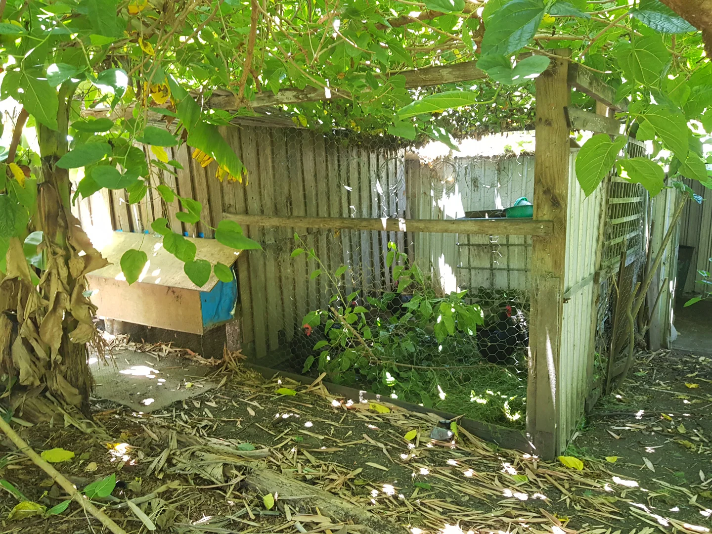 Additional image 30 of 3772 The Bucketts Way, Krambach NSW 2429