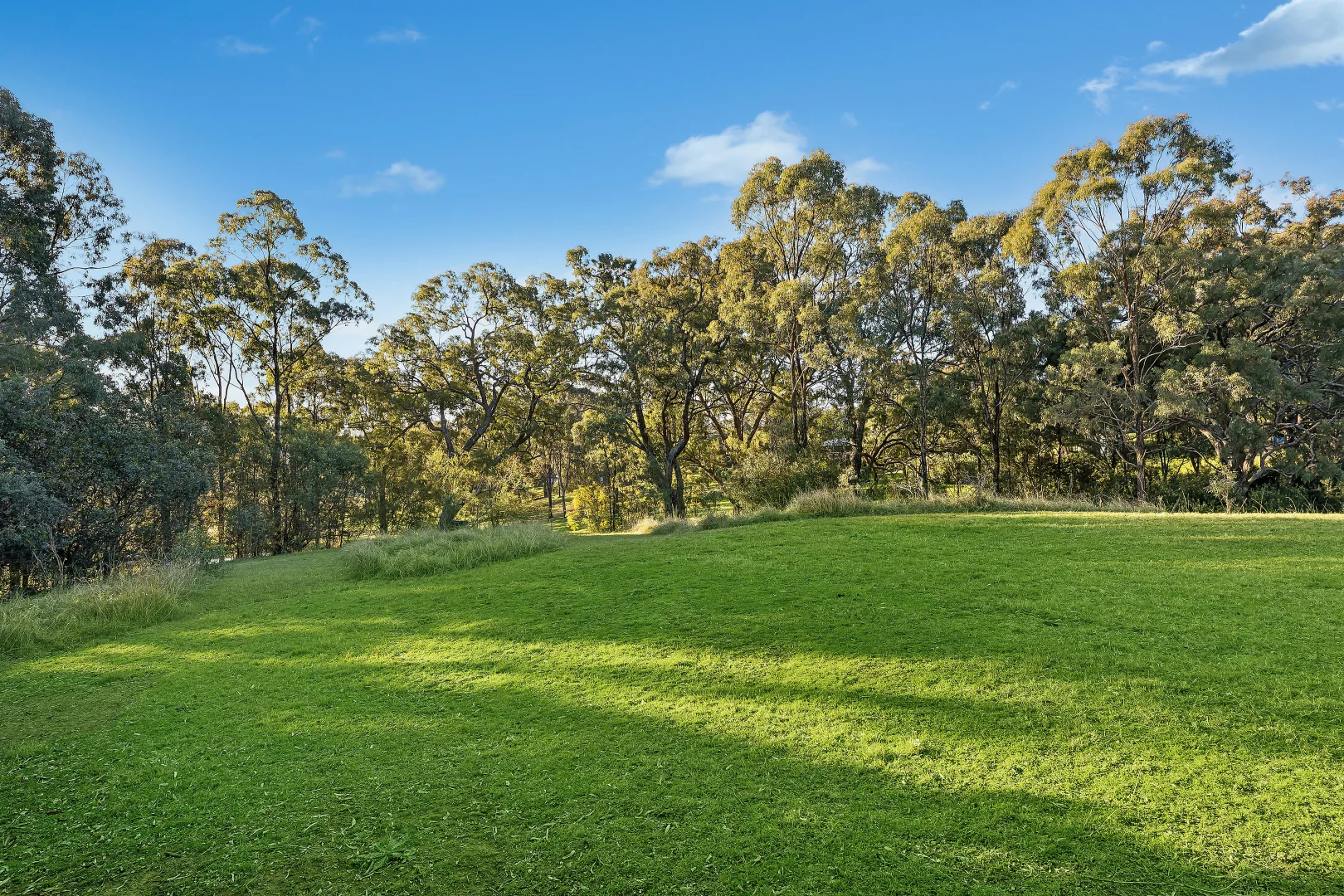 Additional image 3 of 276 Carrolls Road, Menangle NSW 2568