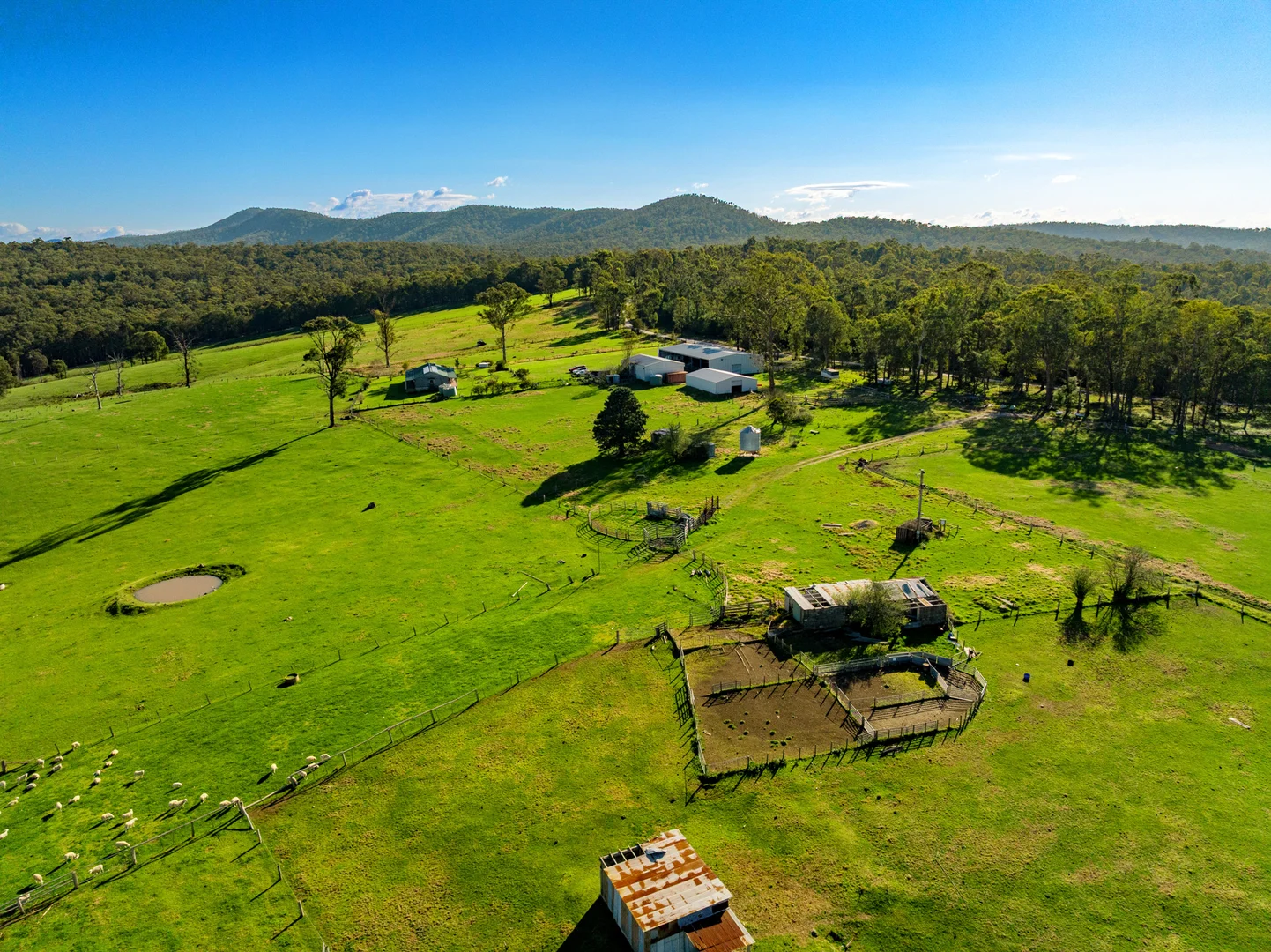 Additional image 51 of 151 Wattle Hill Road, Buchan South VIC 3885
