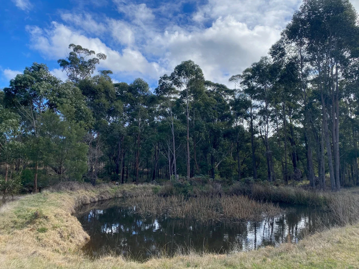 Additional image 5 of 210 Lens Road, Toorloo Arm VIC 3909