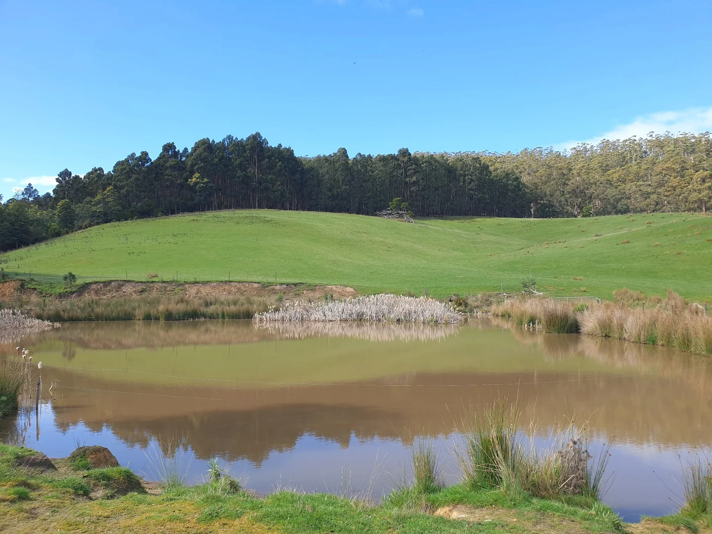 Additional image 9 of Lot 2 Huon Highway, Dover TAS 7117