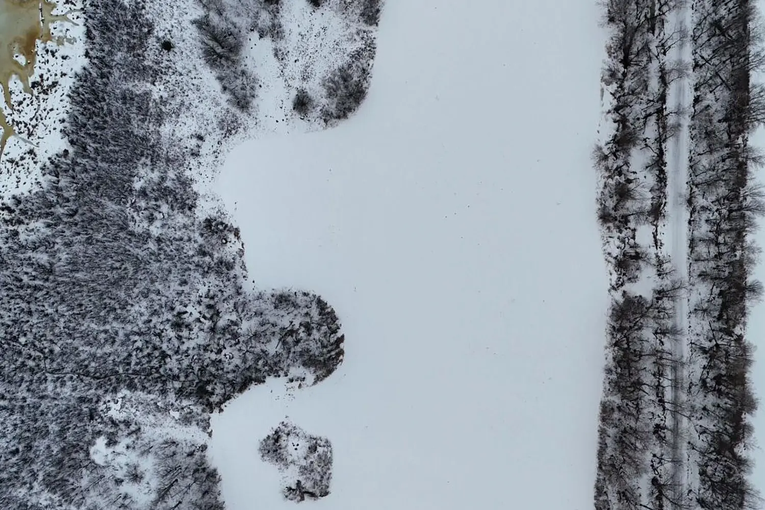 Additional image 8 of 1306 Sulphide Road