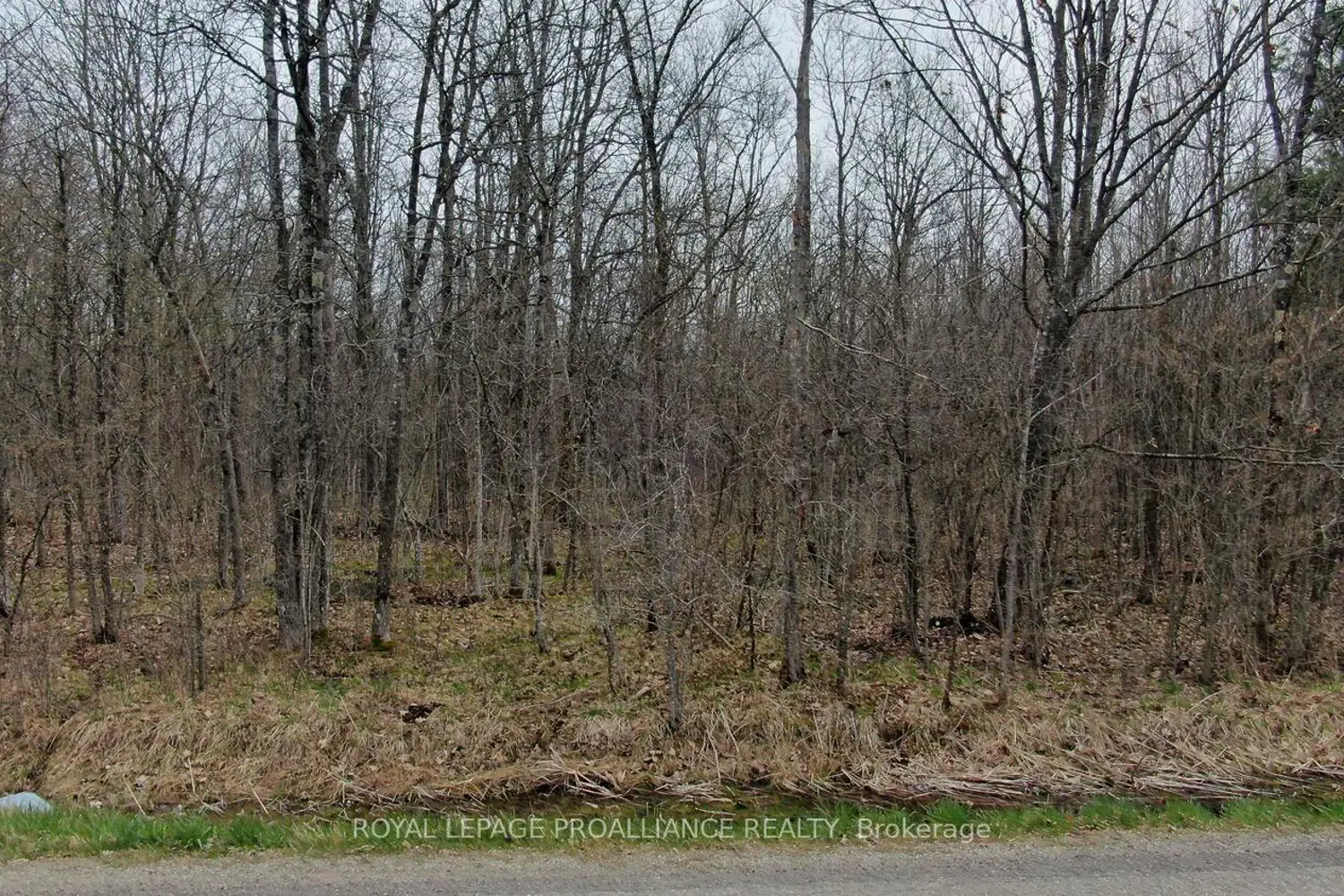 Additional image 4 of 0 Graham Lake Road