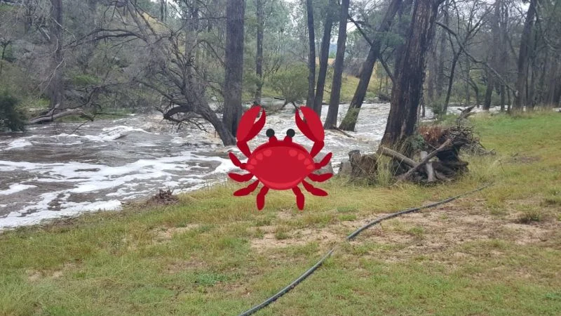 Additional image 23 of Tenterfield NSW 2372