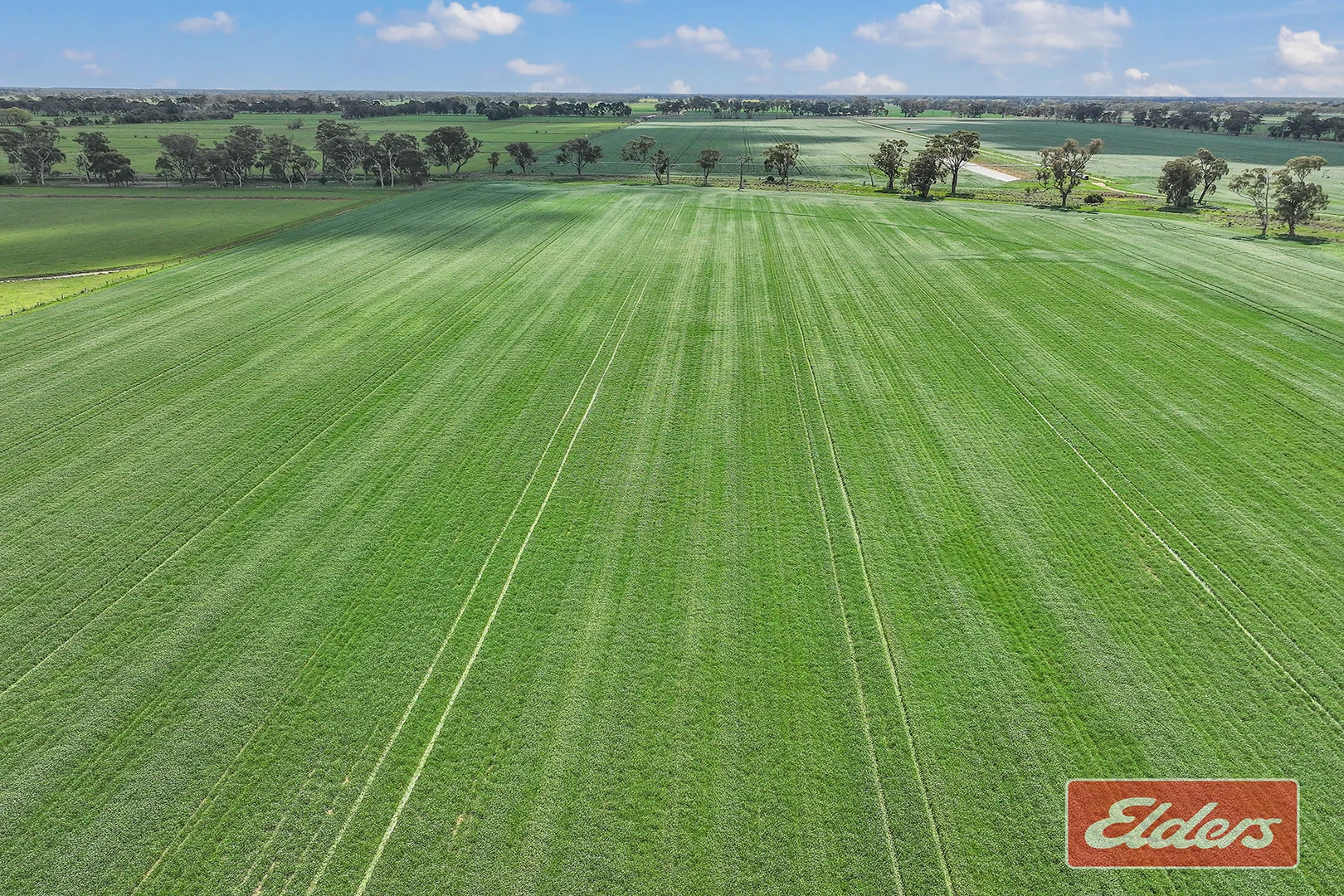 Additional image 23 of 1350 Ryan Road, Kyabram VIC 3620