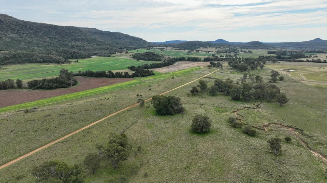 Additional image 10 of The Glen, Berrigal NSW 2390