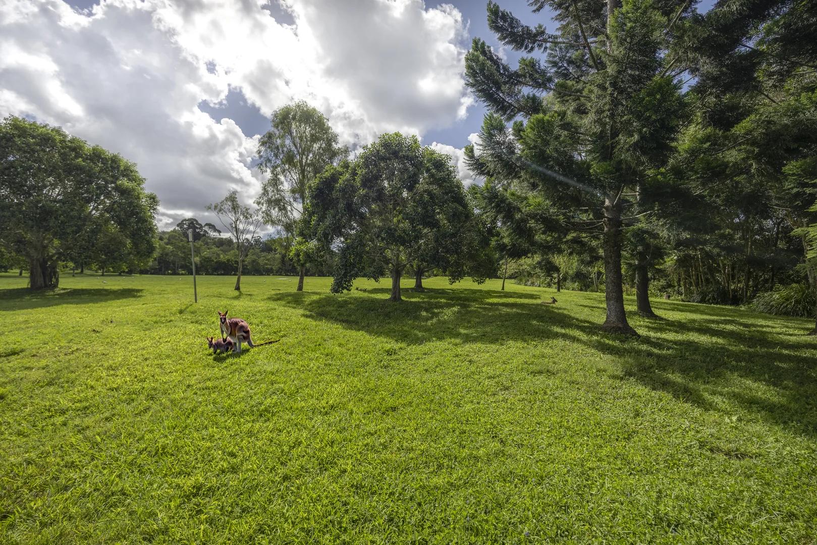 Additional image 47 of 4 Jingree Perch, Currumbin Valley QLD 4223