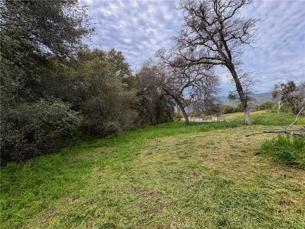 Additional image 74 of 39313 Squaw Valley, Squaw Valley, CA 93675