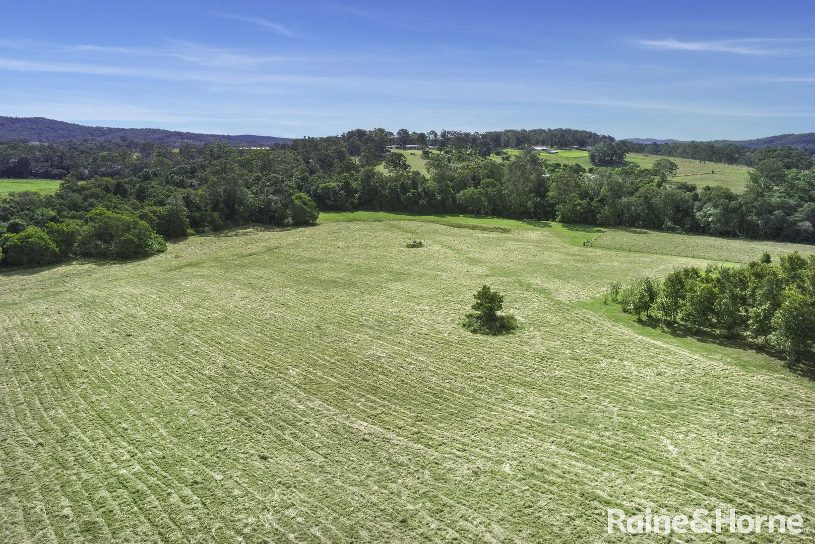 Additional image 5 of 163 Cedar Creek Road, Belli Park QLD 4562