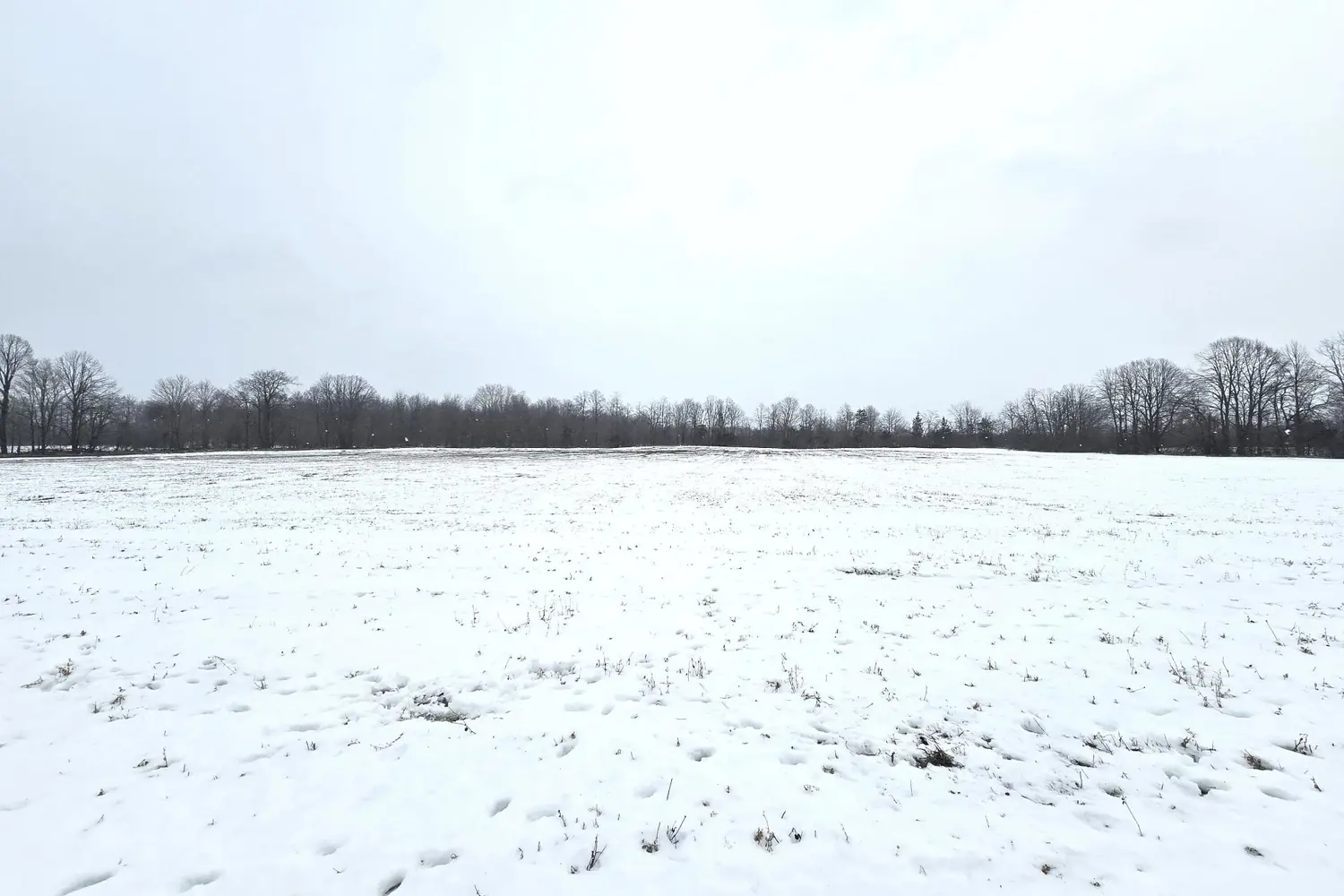 Additional image 7 of 0 Shannonville Road