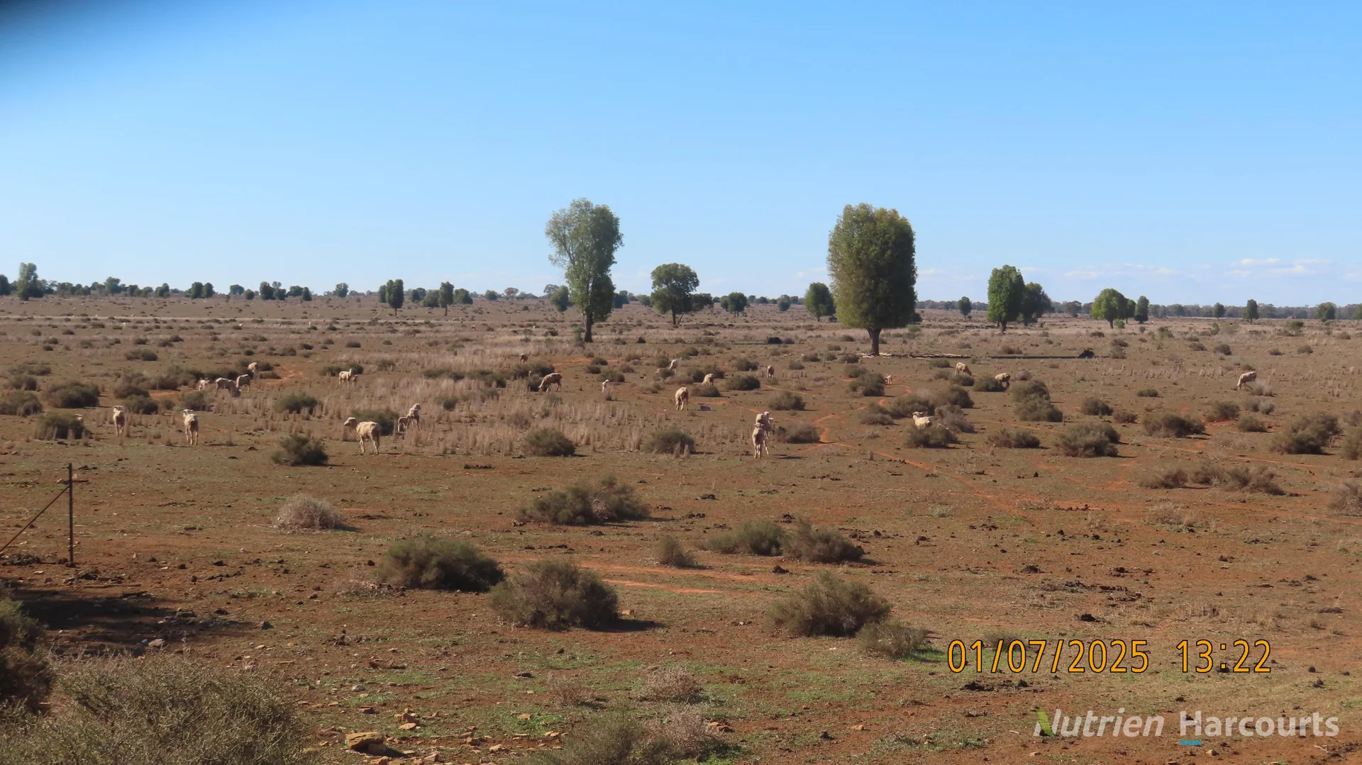 Additional image 8 of * KALLARA, 881 Kallara Road, Hermidale NSW 2831