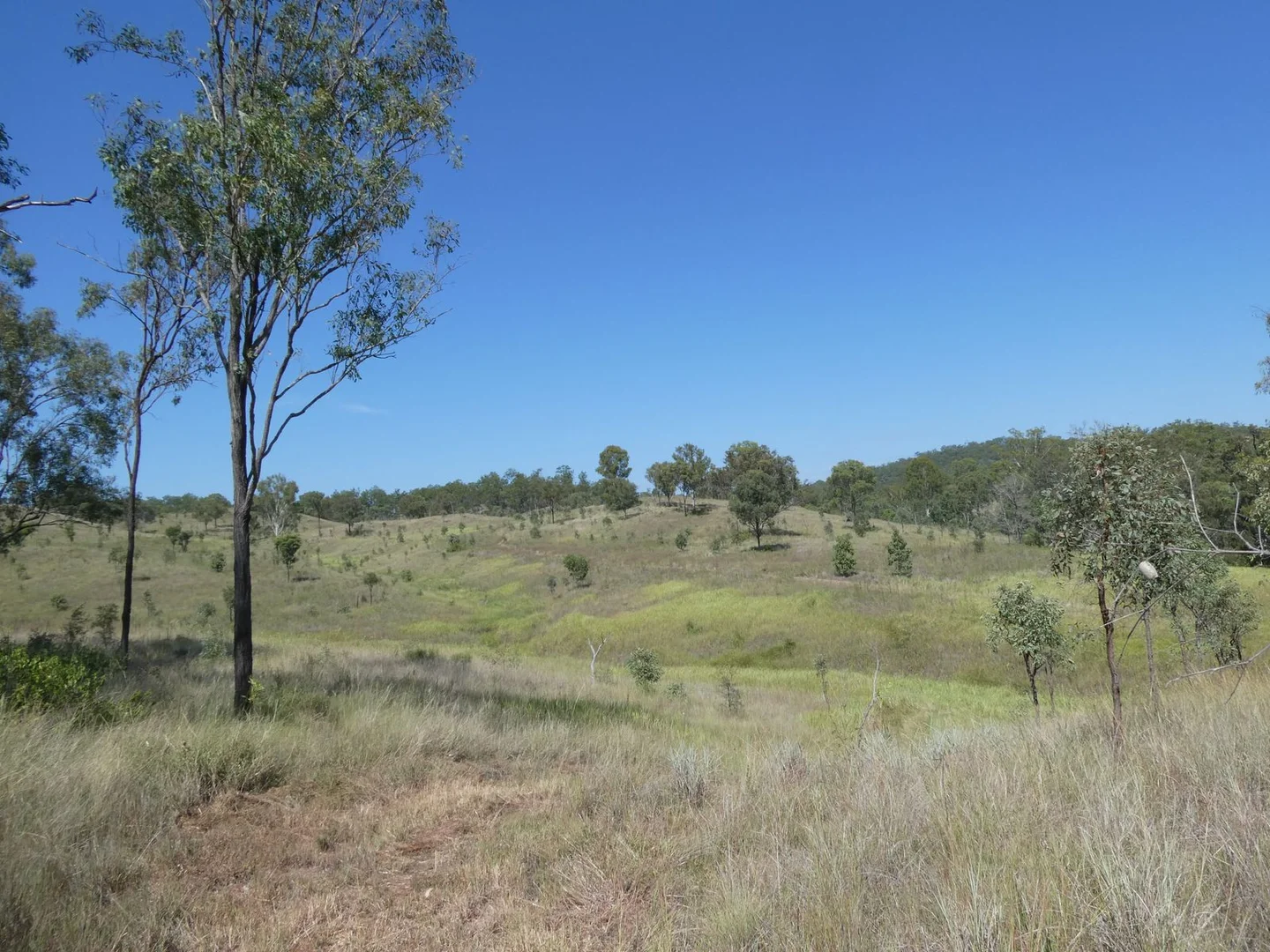 Additional image 6 of Lot 14 Monto Mount Perry Road, Mungy QLD 4671