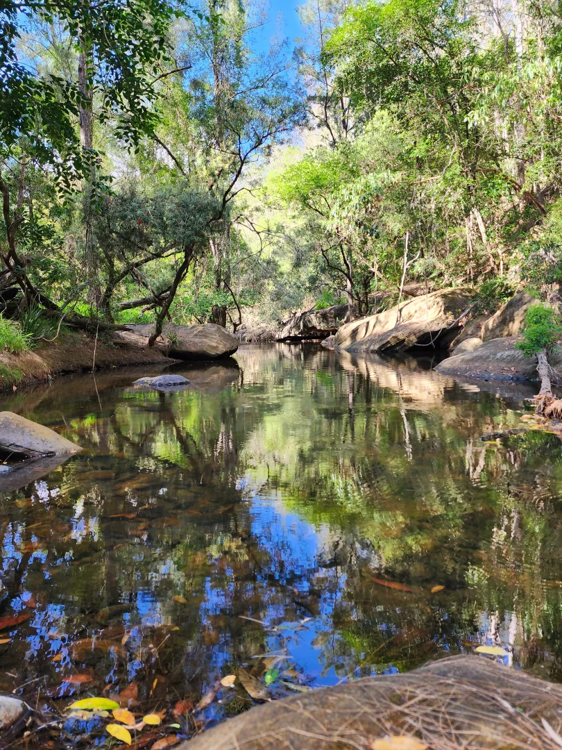 Additional image 25 of 497 Yabbra Road, Yabbra NSW 2469