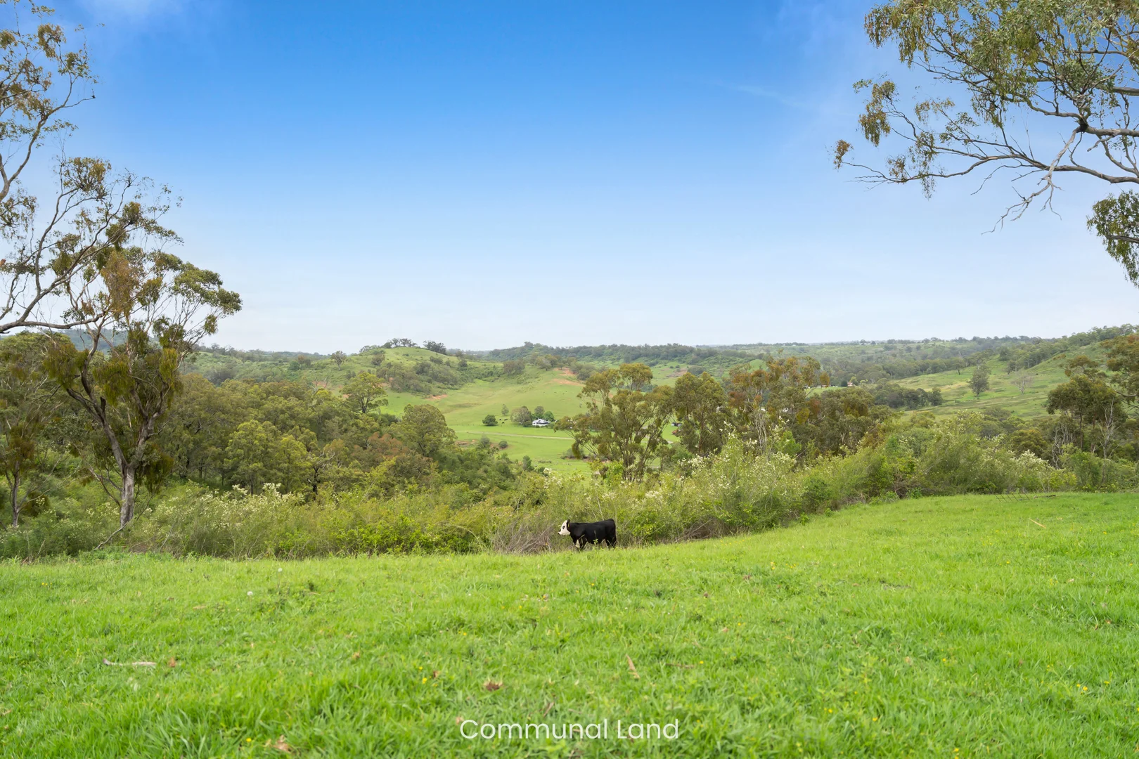 Additional image 39 of 10 Alexander Way, Mount Hunter NSW 2570