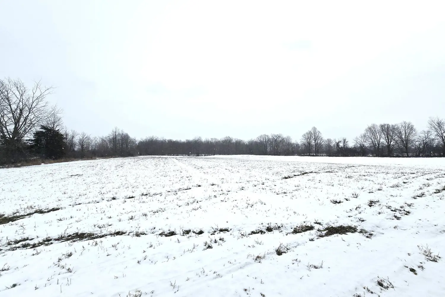 Additional image 4 of 0 Shannonville Road