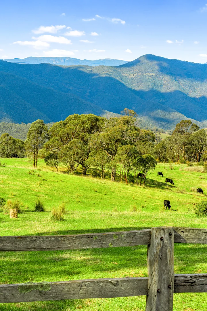 Additional image 11 of 1 Middle Ridge Road, Licola North VIC 3858